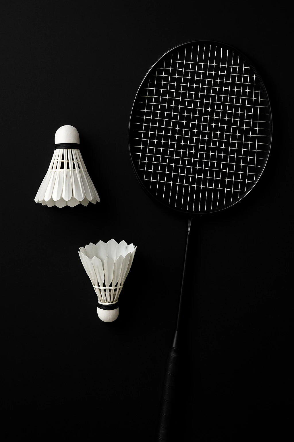 Badminton Collection