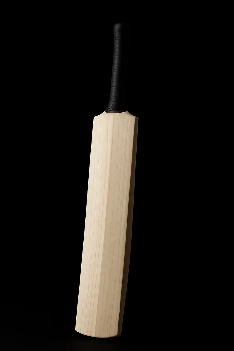 Kashmir Willow Cricket Bat ProGear India