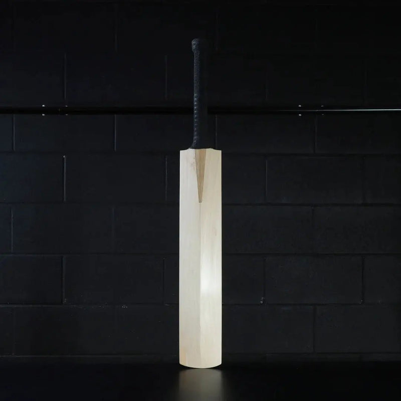 English Willow Cricket Bat - ProGear India