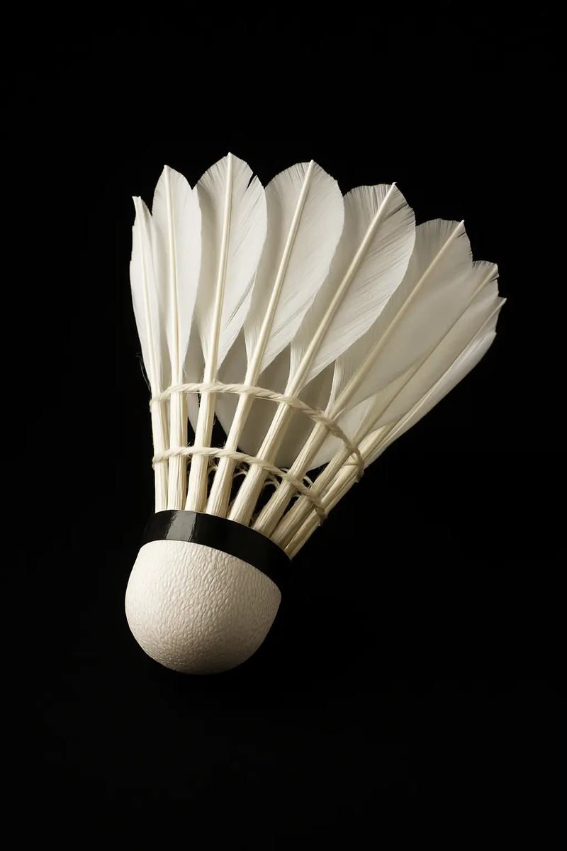 Feather Shuttlecock ProGear India